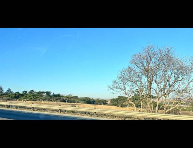 LAND PROPERTY TO RENT IN CAMPERDOWN